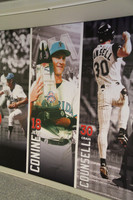Miami Marlins Baseball Park