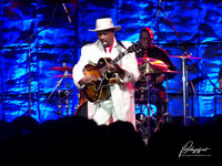 NICK COLIONNE