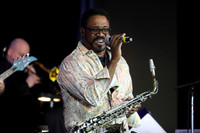 EVERETTE HARP