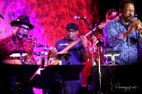 GERALD VEASLEY