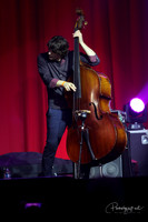 MICHEAL PAIAZZOLO, BASS GUITAR