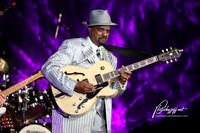 NICK COLIONNE